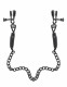 Fetish Fantasy Series Adjustable Nipple Chain  Clamps Image