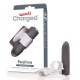 Charged Positive Rechargeable Vibe - Grey Image