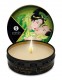 Mini Massage Candle - Zenitude - Exotic Green Tea - 1 Fl. Oz. Image