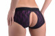 Lace Envy Crotchless Panty Harness - L/ XL Purple and Black Image