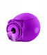 Voodoo Beso Flower Power - Purple Image