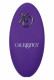 Lock-N-Play Remote Suction Panty Teaser - Purple Image