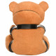 Gagged Teddy Bear Plush Image