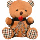 Gagged Teddy Bear Plush Image