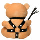 BDSM Teddy Bear Plush Image