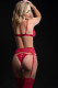4 Pc Bra With Garter Belt a Thong and Stockings Set - One Size - Red Image
