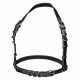 Euphoria Collection Plus Size Halter Buckle  Harness - Black Image