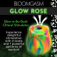 Glow Rose Glow-in-the-Dark Rose Clit Stimulator - Rainbow Image