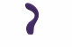 Desire Rechargeable G-Spot Vibe - Purple Image